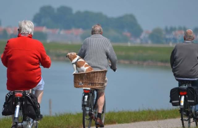 Older friends cycling beside a lake